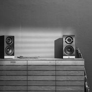Raumfeld Stereo M Wireless Streaming Bookshelf Speakers (Pair, White) N17