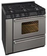 3.91 Cu. Ft. Gas Range in Stainless Steel