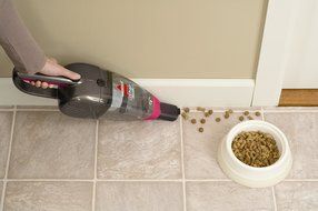 BISSELL Pet Hair Eraser, Refined Bronze/Magenta, 94V5A N3