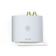 Auris bluMe True Hi-Fi Bluetooth Music Receiver, Gold N5
