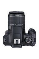 Canon EOS Rebel T6 Digital SLR Camera Kit with EF-S 18-55mm f/3.5-5.6 IS II Lens with Corel PaintShop Pro X8 Ultimate N10