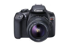Canon EOS Rebel T6 Digital SLR Camera Kit with EF-S 18-55mm f/3.5-5.6 IS II Lens with Corel PaintShop Pro X8 Ultimate N11