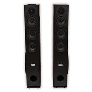 Acoustic Audio TSi550 Bluetooth Powered Floorstanding Tower Home Multimedia Speaker Pair and Mics TSi550M2