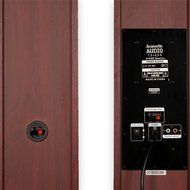 Acoustic Audio TSi650 Bluetooth Powered Floorstanding Tower Multimedia Speakers with Optical Input and Mics TSi650DM2 N4