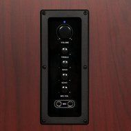 Acoustic Audio TSi650 Bluetooth Powered Floorstanding Tower Multimedia Speakers with Optical Input and Mics TSi650DM2 N6