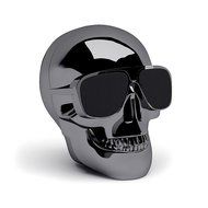 BINGSENTEC Evil Skull Head Shape Portable Wireless Bluetooth Speaker Music Player for Iphone 5 5s 6 6s 7 PC/Laptop...