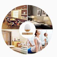 AskMeBuy Portable Bluetooth Levitating Floating Maglev 3D Speaker with Dock Oval Led Night Lamp and Wireless NFC... N2