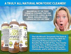 Life Miracle Enzyme Cleaner - All Natural Stain Remover, Odor Eliminator and Neutralizer - Best Carpet, Rug, Clothing...