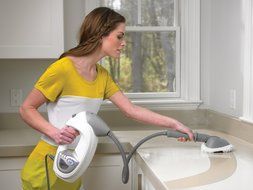 Shark Lift-Away Professional Steam Pocket Mop (S3901D)
