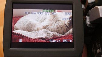 Panasonic AG-DVX100B - Camcorder - widescreen - 410 Kpix - optical zoom: 10 x - Mini DV N9