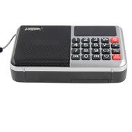 Longruner Portable Fm Radio USB Mini Speakers Mp3 Music Player Tf Card Reader (L63) N9