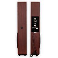 Acoustic Audio TSi650 Bluetooth Powered Floorstanding Tower Multimedia Speakers with Optical Input and Mics TSi650DM2 N8