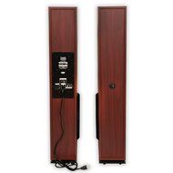 Acoustic Audio TSi550 Bluetooth Powered Floorstanding Tower Home Multimedia Speaker Pair and Mics TSi550M2 N5