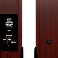 Acoustic Audio TSi550 Bluetooth Powered Floorstanding Tower Home Multimedia Speaker Pair and Mics TSi550M2 N6