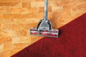 Hoover Zen Whisper Canister, SH40080 N3