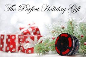 iFox iF013 Bluetooth Shower Speaker - Certified Waterproof. Wireless Speakerphone Pairs To All Bluetooth Devices... N15