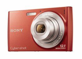 Sony Cyber-Shot DSC-W510 12.1 MP Digital Still Camera with 4x Wide-Angle Optical Zoom Lens and 2.7-inch LCD (Black)