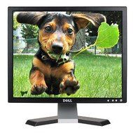 DELL,E197FPB, SVGA, 19 LCD, Black, including stand