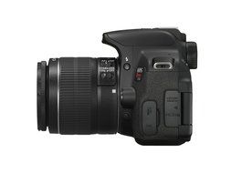 Canon EOS Rebel T4i DSLR (Body Only) (OLD MODEL) N4