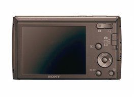 Sony Cyber-Shot DSC-W510 12.1 MP Digital Still Camera with 4x Wide-Angle Optical Zoom Lens and 2.7-inch LCD (Black) N6