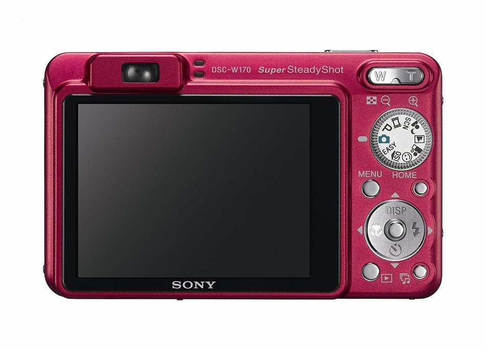 Sony Cybershot DSCW170/B 10.1MP Digital Camera with 5x Optical Zoom with Super Steady Shot (Black) N6