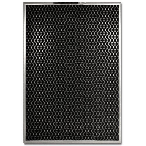 20" X 30" X 1" Lifetime Permanent Washable Filter