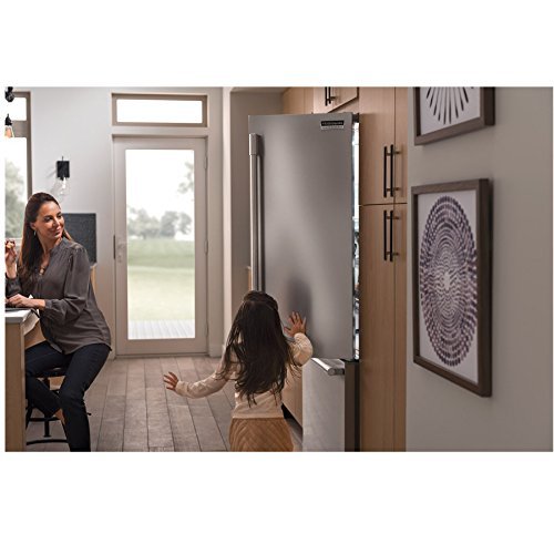 Frigidaire FPBG2277RF: Frigidaire Professional 22.6 Cu. Ft. French Door Counter-Depth Refrigerator N4