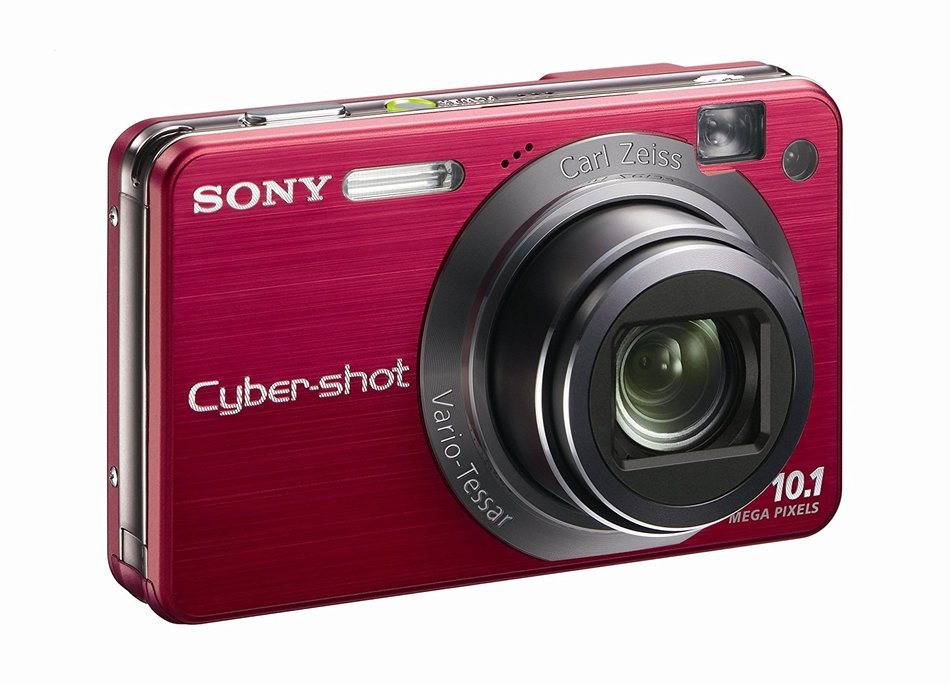 Sony Cybershot DSCW170/B 10.1MP Digital Camera with 5x Optical Zoom with Super Steady Shot (Black) N8