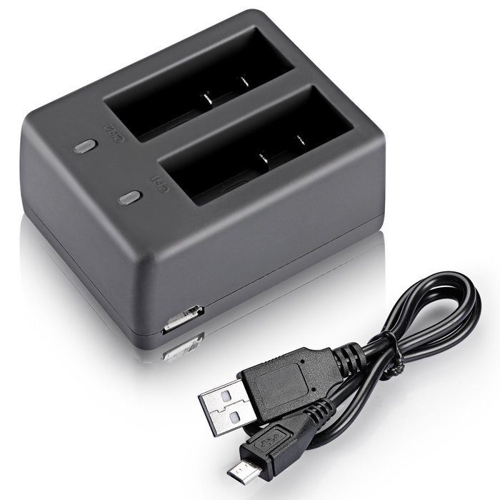 Neewer&reg; USB Dual Battery Charger with (2 Pack) 900mAh Replacement Battery for SJ4000/5000/6000/7000 of RioRand... N6