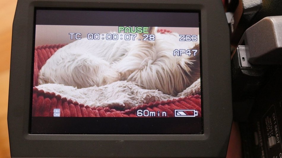 Panasonic AG-DVX100B - Camcorder - widescreen - 410 Kpix - optical zoom: 10 x - Mini DV N9