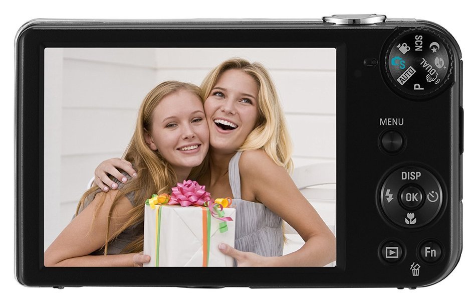 Samsung EC-PL170 Digital Camera with 16 MP and 5x Optical Zoom (Black) N2