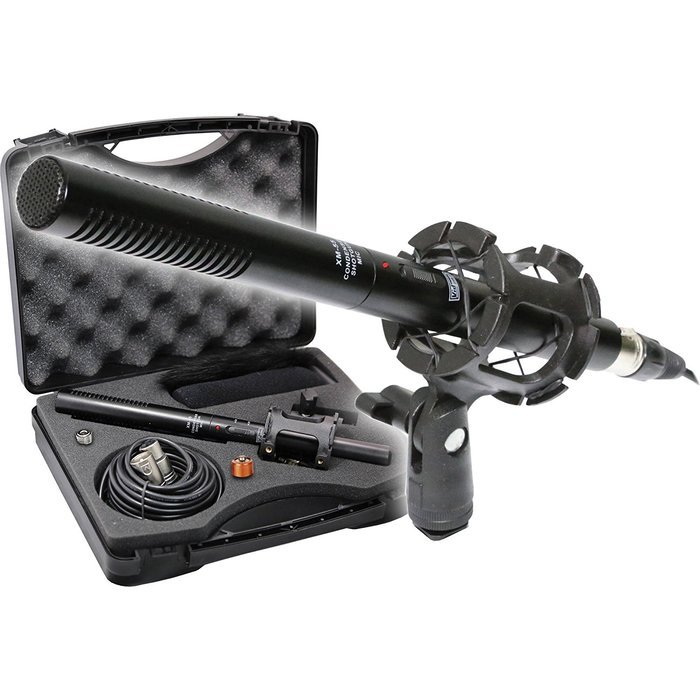 Panasonic HC-X1000 4K 60p/50p Camcorder (Black) + Focus Deluxe Accessory Bundle N4