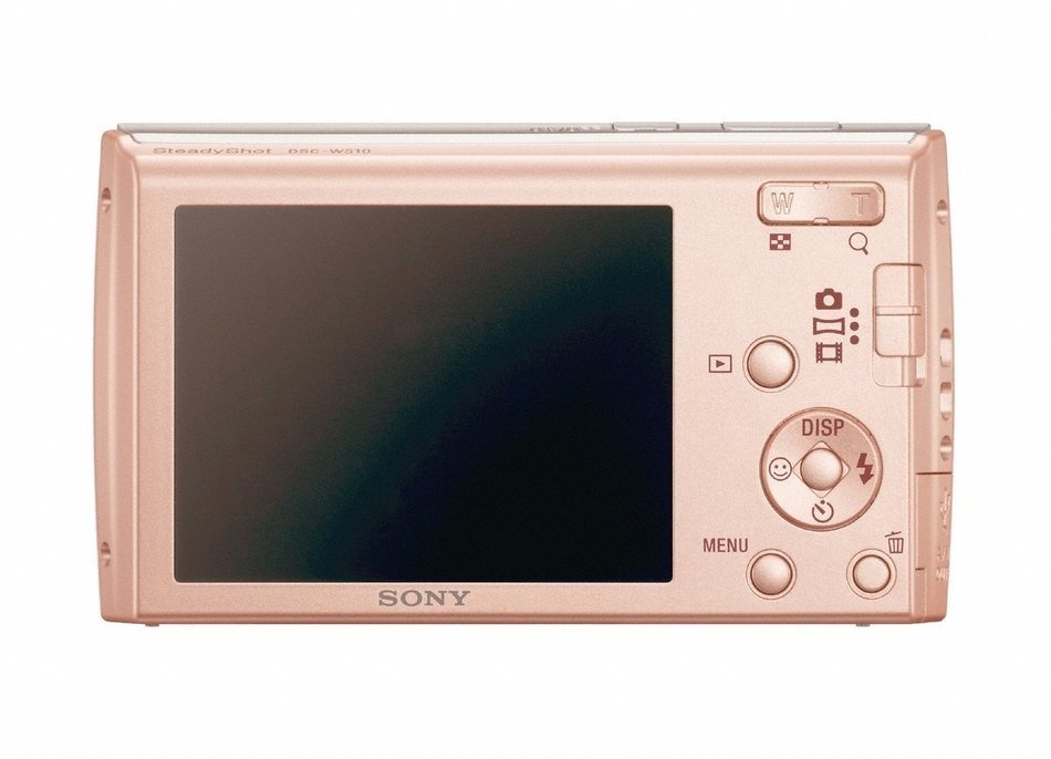 Sony Cyber-Shot DSC-W510 12.1 MP Digital Still Camera with 4x Wide-Angle Optical Zoom Lens and 2.7-inch LCD (Black) N5