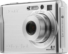 Sony Cybershot DSCW90 8.1MP Digital Camera with 3x Optical Zoom and Super Steady Shot (Black) N4