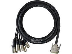 Vintage King DB25 - XLRM - 5'
