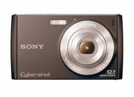 Sony Cyber-Shot DSC-W510 12.1 MP Digital Still Camera with 4x Wide-Angle Optical Zoom Lens and 2.7-inch LCD (Black) N9
