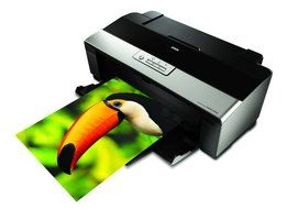 Epson Stylus Photo R1900 Large Format Photo Printer (C11C698201) N2