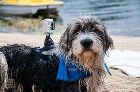 YI Action Camera Waterproof Case: White N2