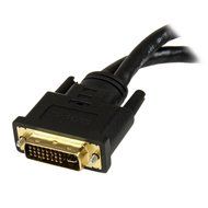 StarTech.com 8in Wyse DVI Splitter Cable - DVI-I to DVI-D and VGA - M/F - Comparable to Wyse DVI Y-Cable N2