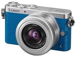 Panasonic DMC-GM1KA LUMIX Mirrorless Digital Camera with 12-32mm Silver Kit Lens N2