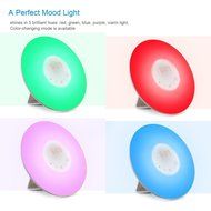Emperor of Gadgets Sunrise Simulation Natural Sounds Wake-Up Alarm Clock Lamp/ Morning Wake-Up Alarm Light with... N2
