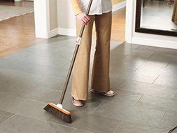 Bissell Hardwood Floor Broom N3
