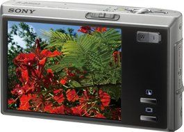 Sony Cybershot DSC-T50 7.2MP Digital Camera with 3x Optical Zoom (Silver) N2
