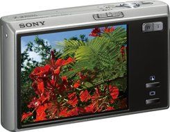 Sony Cybershot DSC-T50 7.2MP Digital Camera with 3x Optical Zoom (Silver) N4
