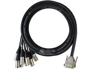 Vintage King DB25 - XLRM - 5'