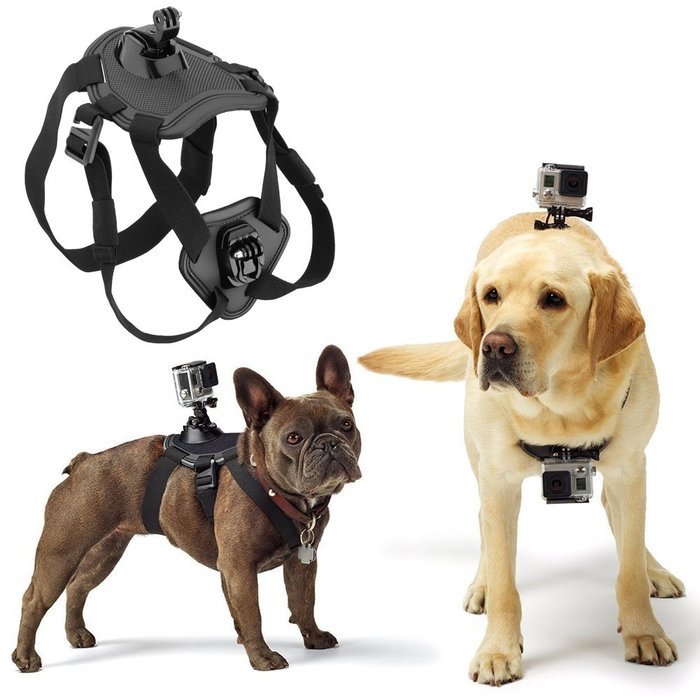 Opteka X-Grip Stabilizer + Head Strap + Chest Strap + Car Suction Cup + Flexible Tripod + Floating Bobber + Action...