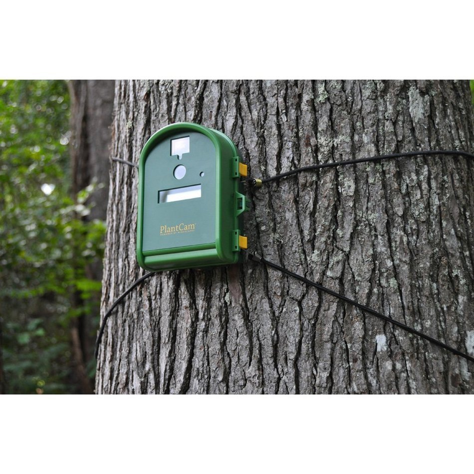 Wingscapes WSCA04 Timelapse Outdoor PlantCam (Discontinued by Manufacturer) N4