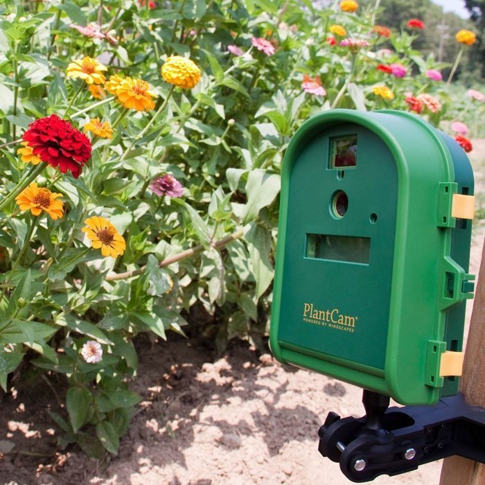 Wingscapes WSCA04 Timelapse Outdoor PlantCam (Discontinued by Manufacturer) N6