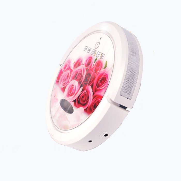 Revesun Q6 Red Rose 2016 Robot Vacuum Cleaner Multifunction (Sweep, Vacuum, Mop,) Anti-collision Vacuum Cleaning... N5