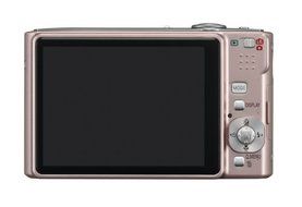 Panasonic Lumix DMC-FS20S 10MP Digital Camera with 4x Wide Angle MEGA Optical Image Stabilized Zoom (Silver) N12